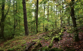 image de l'actualite