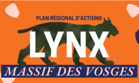 image de l'actualite