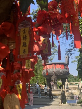 image de l'actualite