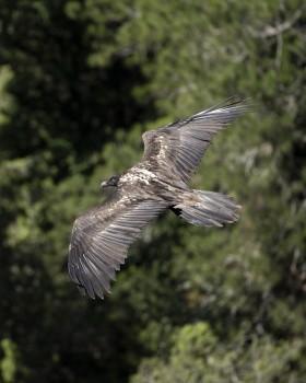 image de l'actualite