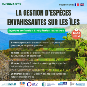 image de l'actualite