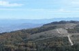 Les pelouses sommitales du grand Luberon_PNR Luberon