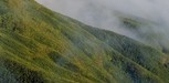 Le massif montagneux de la Basse-Terre_Fabien Salles