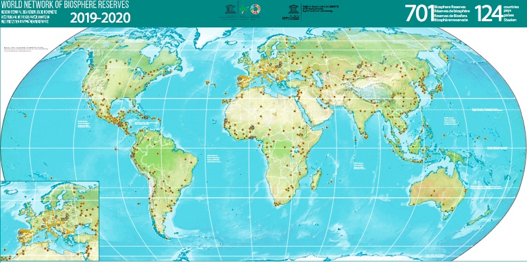 Haute définition AR avec globe lumineux pour chinois et anglais Carte du  monde Géographie Équipement d'enseignement pour les étudiants